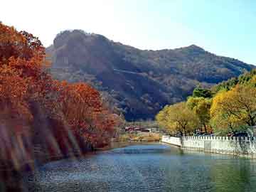 高速沿线环境治理举措，守护旅途风景线，迈向健康生活新征程